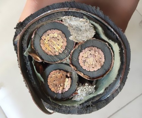  我國電纜工業(yè)已構(gòu)成類別較完全、規(guī)劃較大